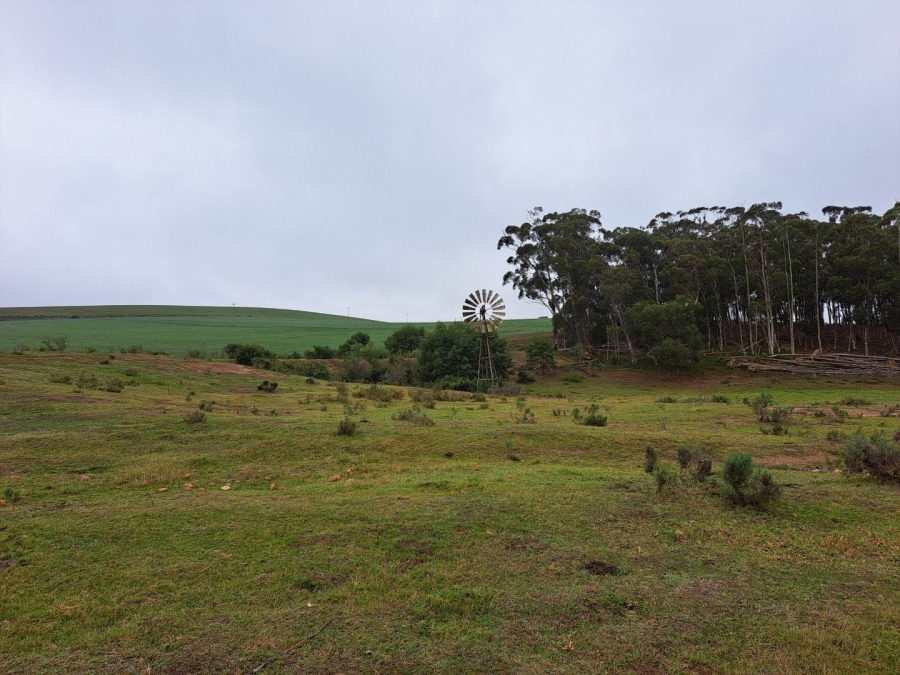17 Bedroom Property for Sale in Riversdale Rural Western Cape